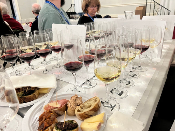 Recap of Joel Mitchel's Feb 6th Mt. Etna Tasting!