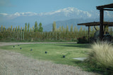 Ascent into Argentina: Wines of the Valley