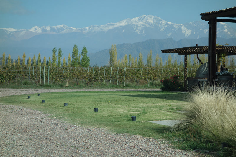 Ascent into Argentina: Wines of the Valley