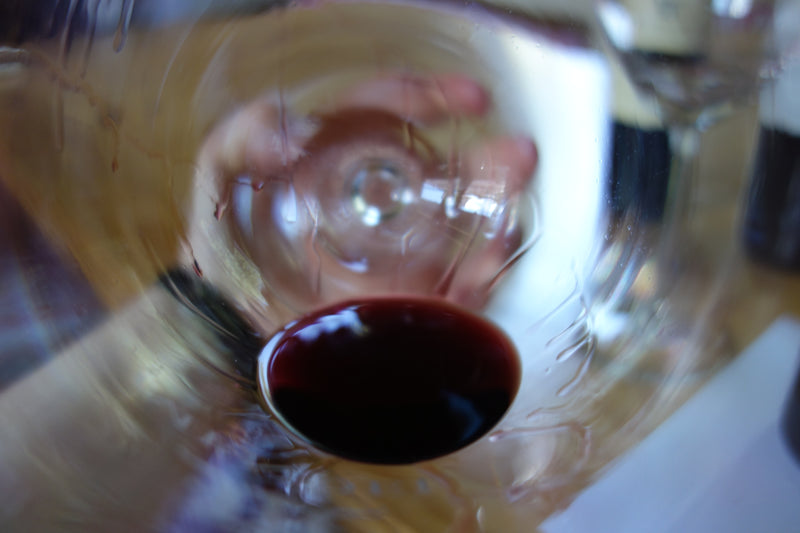 Ascent into Argentina: Wines of the Valley