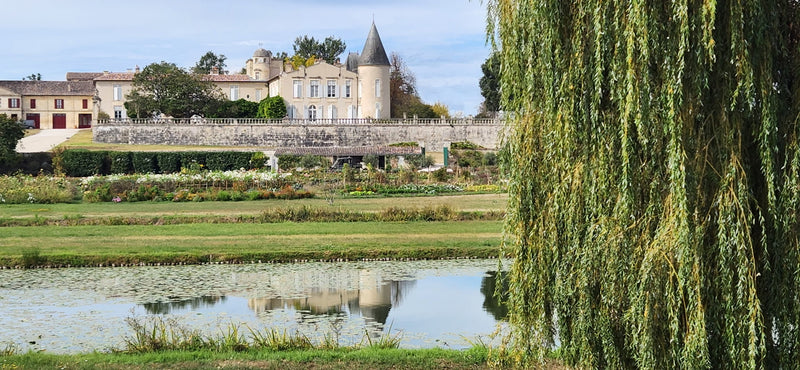 Bordeaux from the Cellar