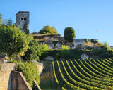 Bordeaux from the Cellar