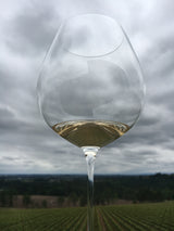 Willamette Valley's Collectible Chardonnays