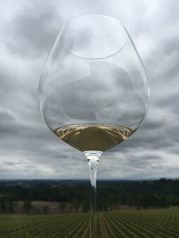 Willamette Valley's Collectible Chardonnays