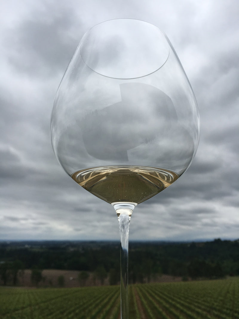 Willamette Valley's Collectible Chardonnays