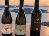 Greece - Assyrtiko